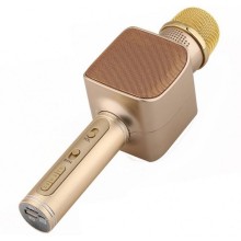 Беспроводной портативный 2 в 1 Караоке Микрофон колонка с LED подсветкой Bluetooth Magic Karaoke YS-68 USB AUX MP3 Player Gold 