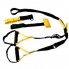 Тренировочные Петли TRX Fit Studio Suspension Training Pro Pack (подвесные петли ТРХ для функционального тренинга)