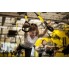 Тренировочные Петли TRX Fit Studio Suspension Training Pro Pack (подвесные петли ТРХ для функционального тренинга)