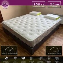 Ортопедичний двосторонній матрац Висота 25 см 120х190 см Середня жорсткість EMM Lotos AMULET Багатозонний пружинний 5 зон Comfort sense Sky foam + Незалежні пружини Pocket Spring Premium